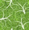 Seamless plant pattern, vector