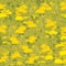 Seamless plants pattern background with abstract yellow flowerfield , greeting card or fabric