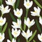 seamless plants pattern background with white blooms