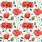 Seamless poppies and cornflowers pattern. Watercolor floral background with blue knapweed, bluett and poppy wildflowers for