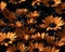 Seamless realistic 3d flowers pattern design created with Generative AI technology