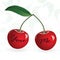 Seamless red cherry love valentine couple berry. Vector illustration. Element for design.