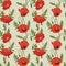 Seamless Red Papaver Rhoeas Flowers Pattern