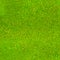 Seamless repeatable green moss pattern background