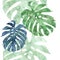 Seamless repeatable monstera leaf border