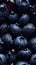 Seamless repeatable pattern of blueberries stacked on each other