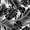 Seamless repeating pattern with silhouettes of palm tree leaves.