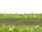 Seamless road. Horizontal border composition. Summer meadow landscape. Juicy grass. Rural rustic scenery. Cartoon design