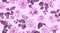 Seamless Rose Pattern, Rustic Floral Background.