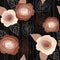 Seamless roses pattern on black background