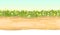 Seamless sandy road. Horizontal border composition. Summer meadow landscape. Juicy grass. Rural rustic scenery. Cartoon