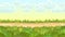 Seamless sandy road. Horizontal border composition. Summer meadow landscape. Juicy grass. Rural rustic scenery. Cartoon