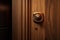 Seamless Security: Digital Locking on Wood Door with Digital Gateway (AI Generated)