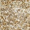 Seamless sequined golden texture