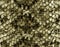 Seamless Snake skin pattern. Texture snake. Fashionable print. Fashion and stylish background