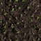 Seamless soil texture