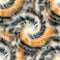 Seamless spiral tie dye pattern for surface design print