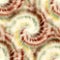 Seamless spiral tie dye pattern for surface design print