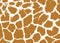 Seamless spotted Giraffe Skin Background.