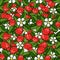 Seamless strawberry pattern on white background