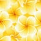 Seamless summer pattern frangipani plumeria tropical flowers vector background
