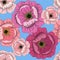 Seamless summer pattern with roses on blue