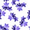 Seamless summer print for fabric. Violet campanula flowers on white background