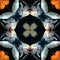 Seamless symmetrical pattern abstract fish in the sea texture