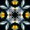 Seamless symmetrical pattern abstract fishes in the ocean texture