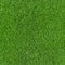Seamless Synthetic Grass