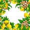 Seamless template for a festive wedding card. Fruit motives for design handwork. Yellow lemons with flowers and leaf in the form o