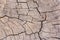 Seamless texture background old wood cracks