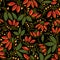 Seamless texture barberry on a black background