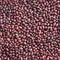 Seamless texture of beans. Square