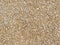 Seamless texture beige gravel. Ground surface road work