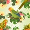 Seamless texture bird Sun Conure Parrot and lovebird Agapornis home pets parakeet on a branch bouquet with tropical flowers hibis