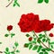 Seamless texture bouquet of red   roses and rosebuds festive background like cracks on porcelain watercolor vintage vector