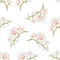 Seamless texture Branches orchids Phalaenopsis White flowers tropical plants green stem and buds vintage vector