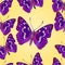 Seamless texture butterfly Apatura iris vector