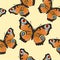 Seamless texture Butterfly -Inachis-io