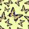 Seamless texture Butterfly Inachis io vector