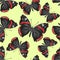 Seamless texture Butterfly Vanessa cardui vector