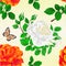 Seamless texture flower orange and white rose and a butterfly vintage cracks vector illustration editable