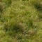 Seamless Texture of grass lands