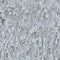 Seamless texture hanging down worn-out ripped rags cloth or paper
