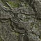 Seamless texture of a lichen covered rock