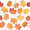 Seamless texture with maple leaves