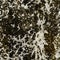 Seamless texture - natural water splash pattern