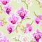 Seamless texture Orchids purple and white and white Phalaenopsis stems with flowers and buds closeup vintage vector editable