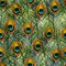 Seamless texture pattern with peacock feathers